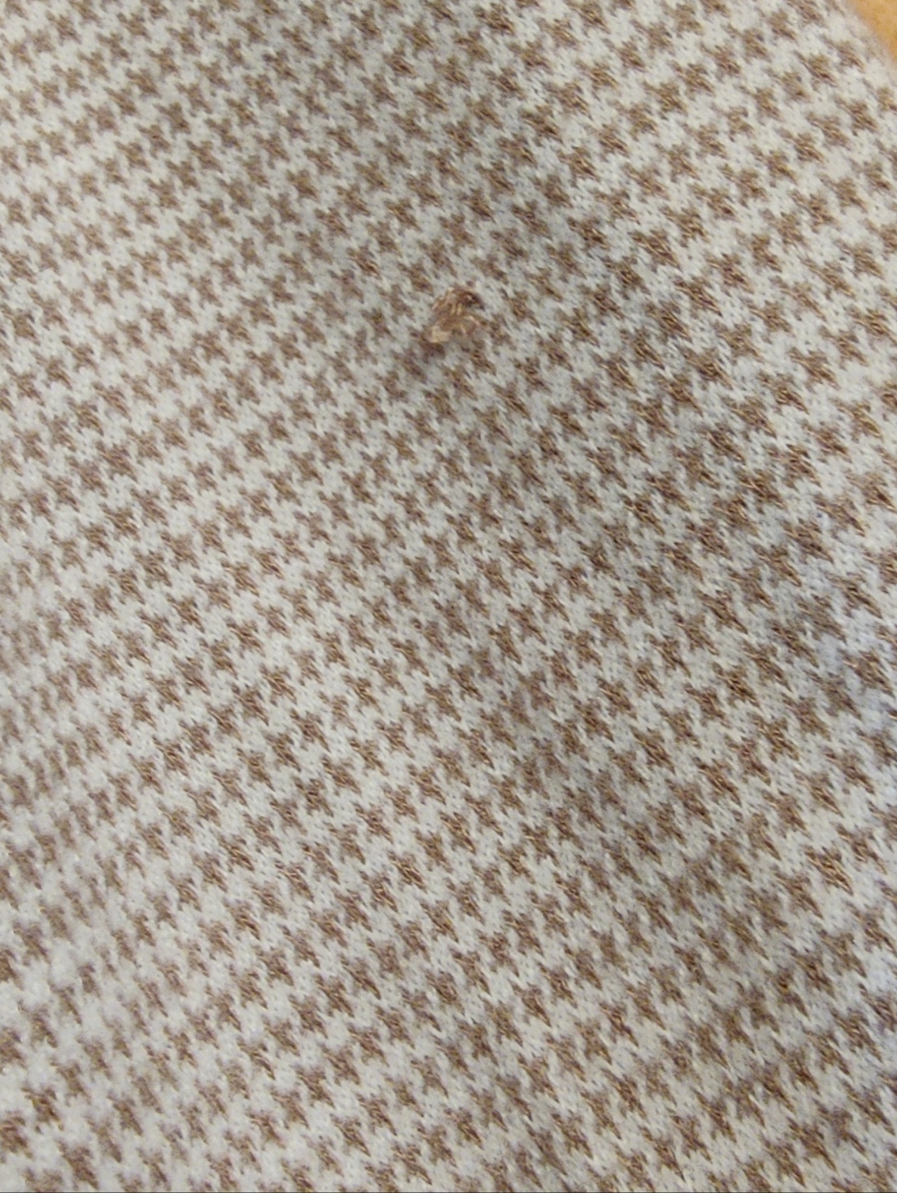 Ann Taylor Soft Tan Women's Blazer - Picture 6 of 10